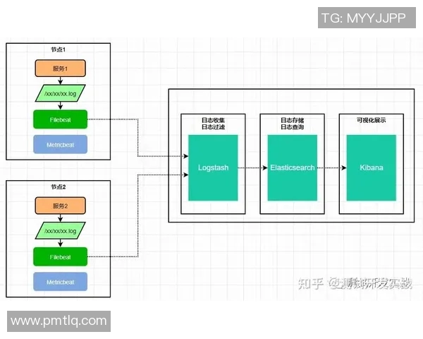 探索Elk希维尔输出的潜力与应用场景分析 探索Elk希维尔输出的潜力与应用场景分析