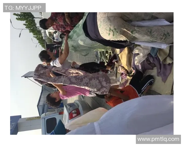 狼队一笙的传奇之路与电竞梦想的追逐之旅